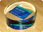 Solartwin DTI SMART award